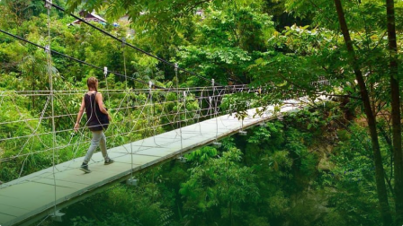 Du lịch đi bộ,dã ngoại trong rừng
